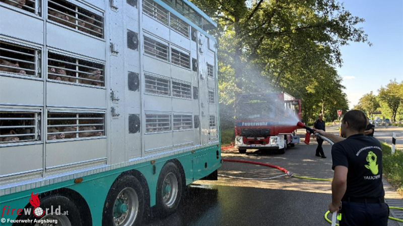Bayern-K-hlende-Hilfe-f-r-ber-500-Ferkel-auf-Lastwagen-in-Augsburg