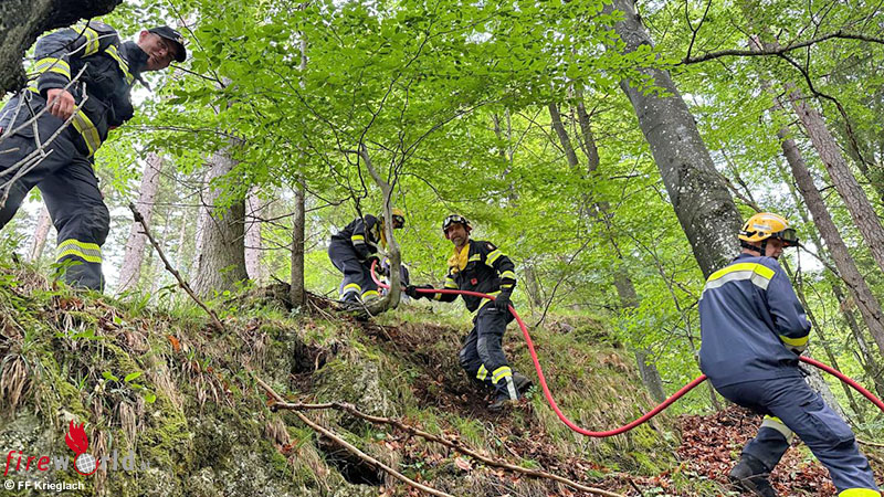 Stmk-Basis-Lehrgang-Vegetationsbrandbek-mpfung-im-Bereich-M-rzzuschlag