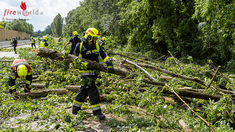 N-Unwetter-entwurzelte-Dutzende-B-ume-in-Krems-Sperre-der-B37a-am-22-Juni-2026
