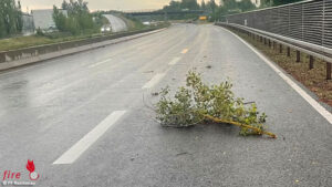 Reichenau_Ast D: Wieder mal ein „Riesenast“, der die Feuerwehr beschäftigt