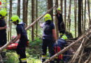 Stmk: SAN-Übung auf Abschnittsebene in Frein an der Mürz