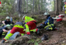D: Schwer verletzten Mountainbiker in Dortmund aus unwegsamem Waldgelände gerettet