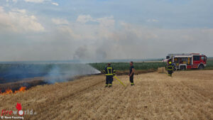 Bgld: Vegetationsbrand in Purbach fordert bei drehenden Winden Gro�aufgebot der Feuerwehren