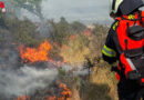 Bgld | Ungarn: Vegetationsbrand im Bereich der Siegendorfer Puszta → grenzüberschreitender Feuerwehreinsatz
