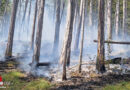 Nö: Erneuter Waldbrand im Bezirk Baden, diesmal in Furth an der Triesting