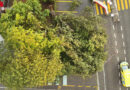 Schweiz: Baum stürzte in Thunstetten auf Kind