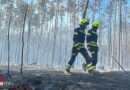 Nö: Neuerlich großer Brand im Föhrenwald in St. Egyden → Personen evakuiert, Hundertschaft im Einsatz