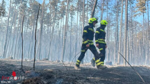 Egyden_WB1 Nö: Neuerlich großer Brand im Föhrenwald in St. Egyden ? Personen evakuiert, Hundertschaft im Einsatz
