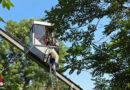 Bgld: Liftrettung am Schrägaufzug der Burg Güssing und Einsatz nach Unfall