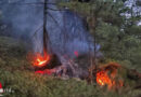 Sbg: Wald-Bodenfeuer in Hintergöriach
