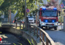 Nö: Feuerwehr rettet Fische im fast ausgetrockneten Mühlbach vor dem Erstickungstod