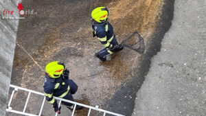 O�: Biber in Bad Goisern aus Betonschacht gerettet