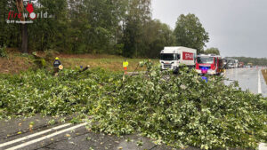 N�: Baum st�rzt auf die B 41 und trifft vorbeifahrenden Pkw