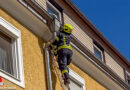 Oö: Junges Kätzchen in Lenzing von Dachbereich eines Gebäudes geholt