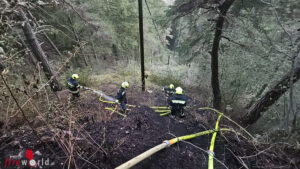 WaldbrandStmk1 Stmk: Waldbrand am Gerschkogel in St. Georgen ob Judenburg