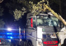 D: Fahrender Lastwagen in Visselhövede von größerem Ast getroffen