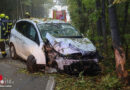 Oö: Verletzter Fahrer bei Pkw-Kollision mit Baum in Krenglbach