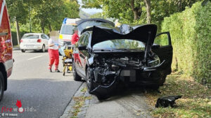 N�: Pkw in Alland an neben Stra�e befindlichen Baum geprallt