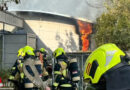 D: Brand in leerstehendem Kindergarten in Gelsenkirchen