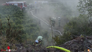N�: B�schungsbrand ? mit der Schlauchleitung durch den Weingarten