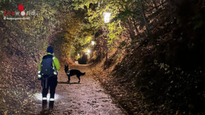 N�: Rettungshund findet Vermissten bei n�chtlicher Suchaktion in Melk