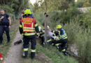 Nö: Feuerwehr rettet Person aus Mödlingbach 