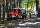 Oö: 20 Feuerwehren beüben Feuer im Kürnbergwald im Bereich Wilhering / Leonding