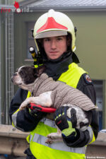 Meherer Verletzte bei heftigem Auffahrunfall auf der S5